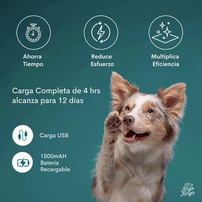 Limpiador De Patas Eléctrico